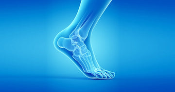 Stopy - fundament naszego ciała